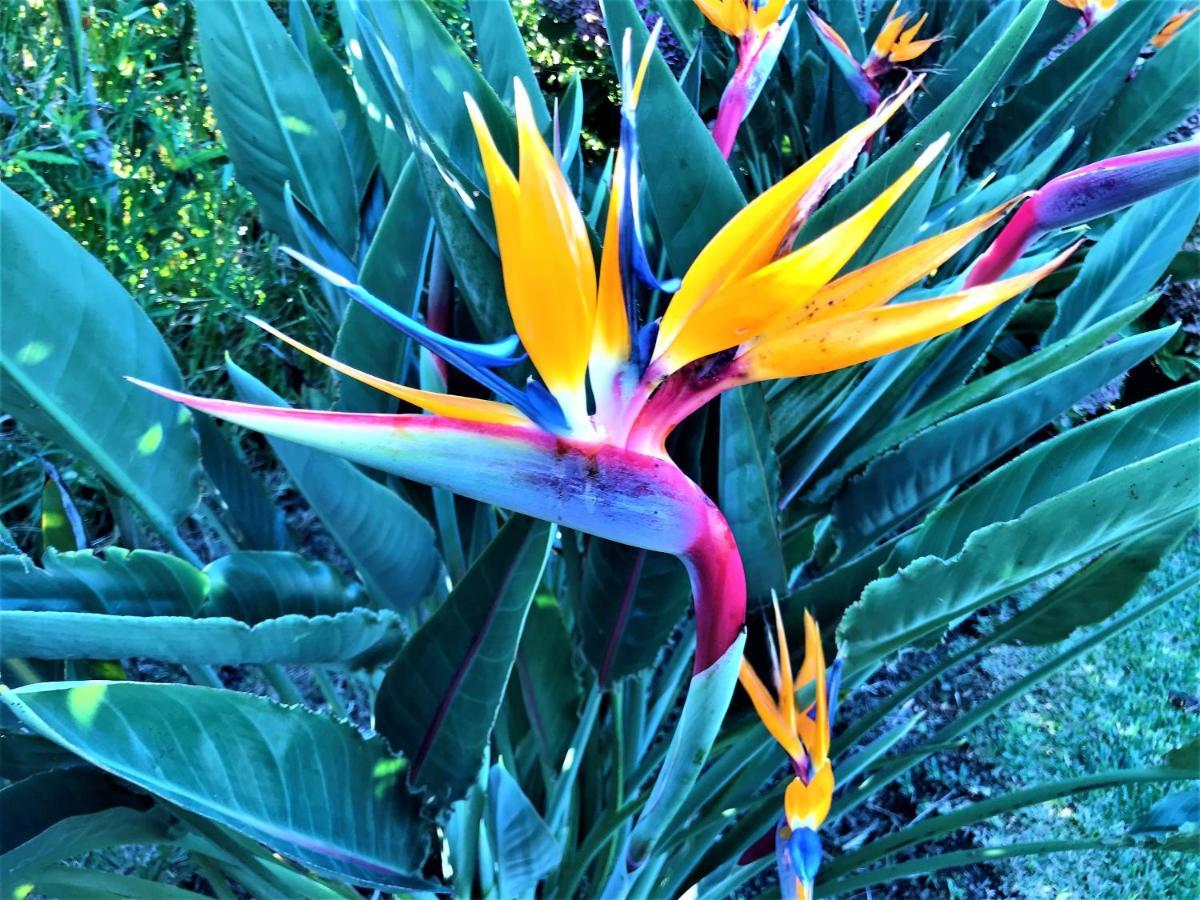 ריביירה גראנדה Surf Beach_Santa Barbara Secret Gardens מראה חיצוני תמונה